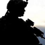 ���: � ���� ������� 300 ����������� ���������