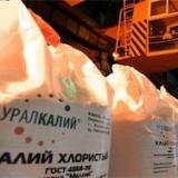 Новые акционеры Уралкалия видят пользу в союзе с Беларусью