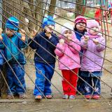 Стало известно, кто мешает ликвидации очередей в детские сады в Приморье