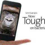   Gorilla Glass   