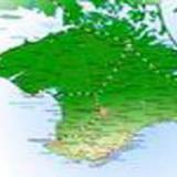 ����� �������� ������ �����������?