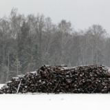 �������� ����� ��������� �������� ������ ����