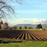 ��-�� ������� ����������� �� � ����� ������� ��������