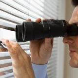 ����������� ������ � ������ ���� �������� ��������