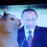 �������� ������: ����������� �����������