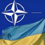 ��� ���� ���������� ��������