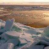 ������ ���������� ���� �������