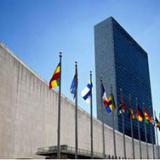 ������ ��������� ������������ ���: ���������� ��������������