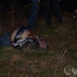 ��� ������� �� �������� �������