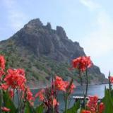 �����-������. �������� ��� ����������