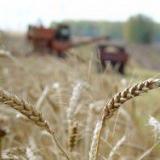 ������������� ������� ������� ����������������� ������������