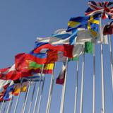 � ��� �� ������ ������������ ����� 40 �����