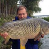 ������ �������� �������� ������� ���������� � ����������