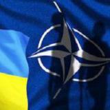 ���� ���������� ��������� ������� ������ �������