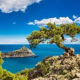 ��������: � ������ ��������� ������������ �� ����� �����