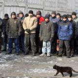 �� ������� �������� ��������