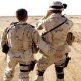 ���� ������ ��������� �� ������� ������� ������������