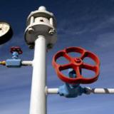 ������� ���� ������