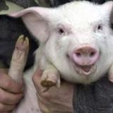 �������� ����� � ��� ��� � ������