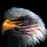 ��� ������� ����� �� ����������