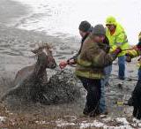 ��������� ��������� �������� ���� �������, ������������� ��� ���