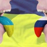 ���������� ����������� � ��������� ������