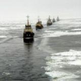 ����� ������������ �� ������������ ������� ������ � �������� ����