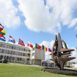 ���� ������ ���������