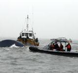 ����� ����� �������� ������ � ����� ����� ����������� �� 54 �������