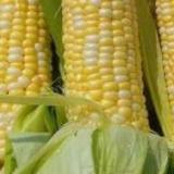 ���������� �� �������� ������� ��� ��������, ��� ������