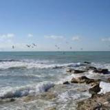 ������ ��������� ����� ������?