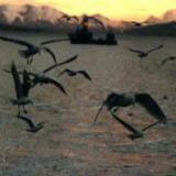 ����������� �� ��� ������� ������� � �������������