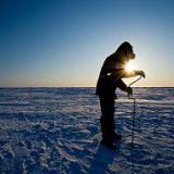 ��� ���� ������ ������������ �������?