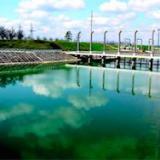 ����: ������� �� ���� ���� �� �� ����� ������