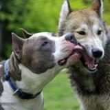 ������ ���������: ����������� ����� ������ �� ������!