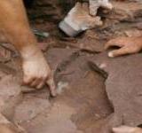 � ������� ������� ���� ������ ����������