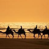 � ��� ������ ������ ������������� � ������?