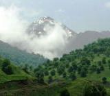 ������� ���������� ����� �� ������������ ���������