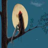 ������ �������� ������ ��� ����� ������ �� �������