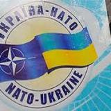 �������� ����: ���������� ������� ����� ������ �� ������� �������