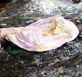 ����� �������� ������ � ���� ������������ ������� ���� ��������