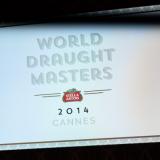      Stella Artois  