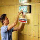 ������ ���� �������