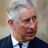 ��� �� �������� �������� ������ ������� � ������