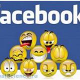  Facebook   