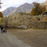 � ������ ���� ����� ��������� �� �����