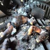 ����� �������� ����� � ����� 2