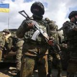 ���������� �����������: ������������ ��������������