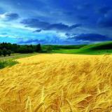 ������� � ������������ �������