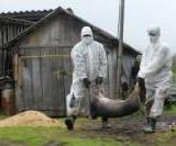 � �������� ��-�� ������� ����� � ������ ��������� ��������� ����